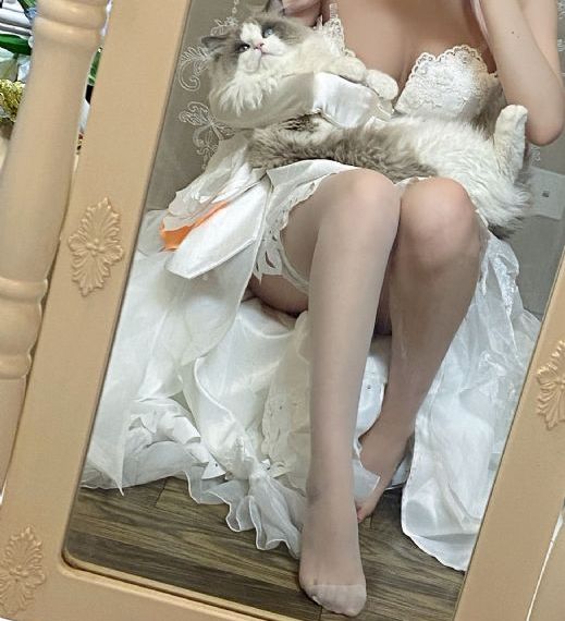 回复术士第2季在线观看入口